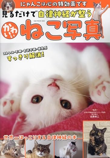 見るだけで自律神経が整う かわいいねこ写真